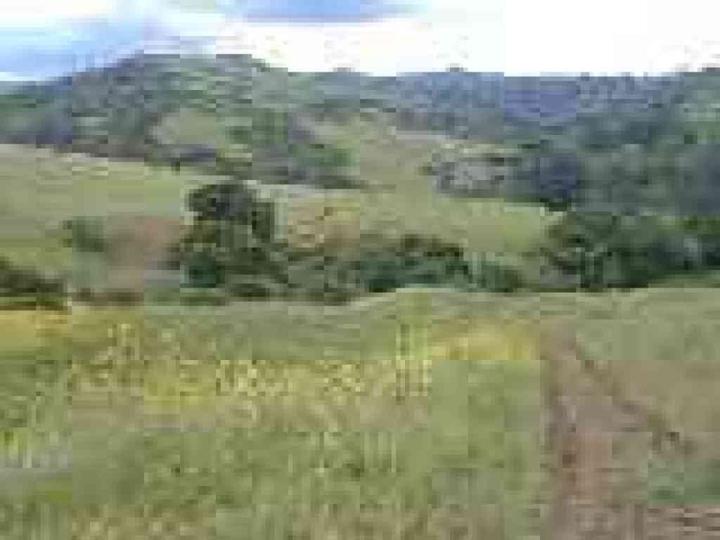 Looking back downhill