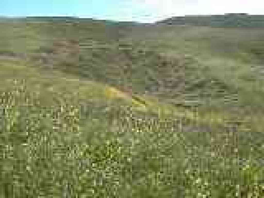 Landslide area