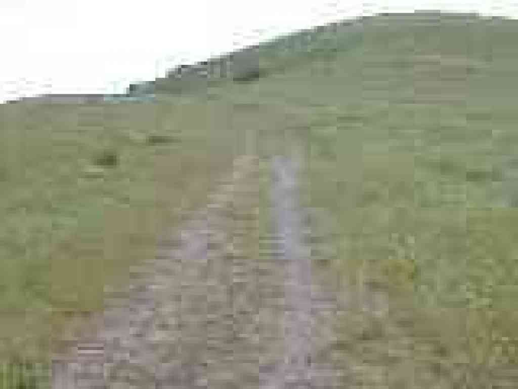Still climbing