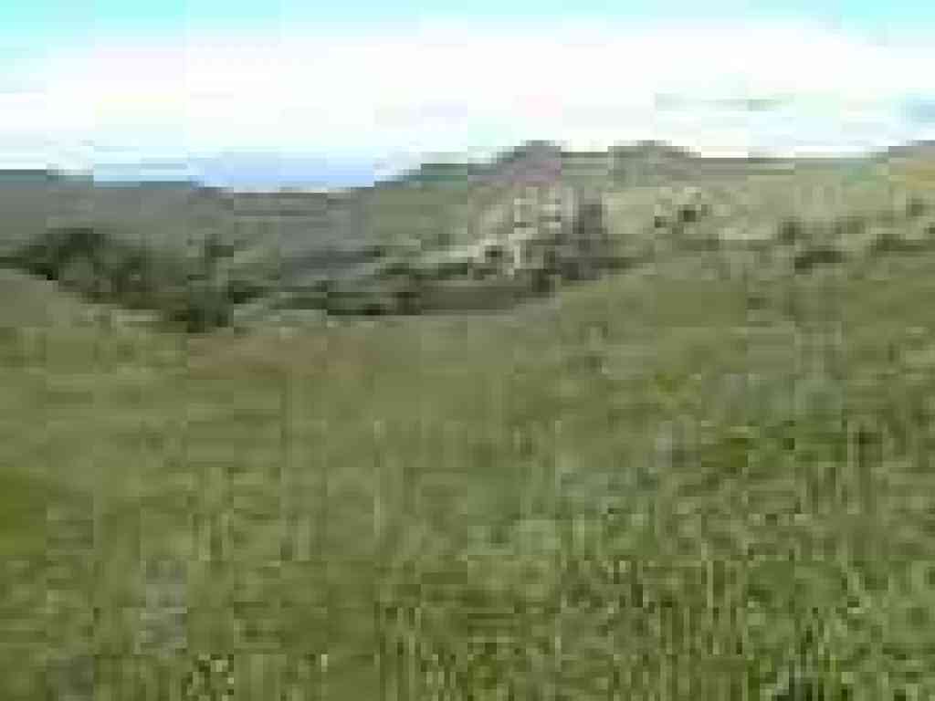 View northwest