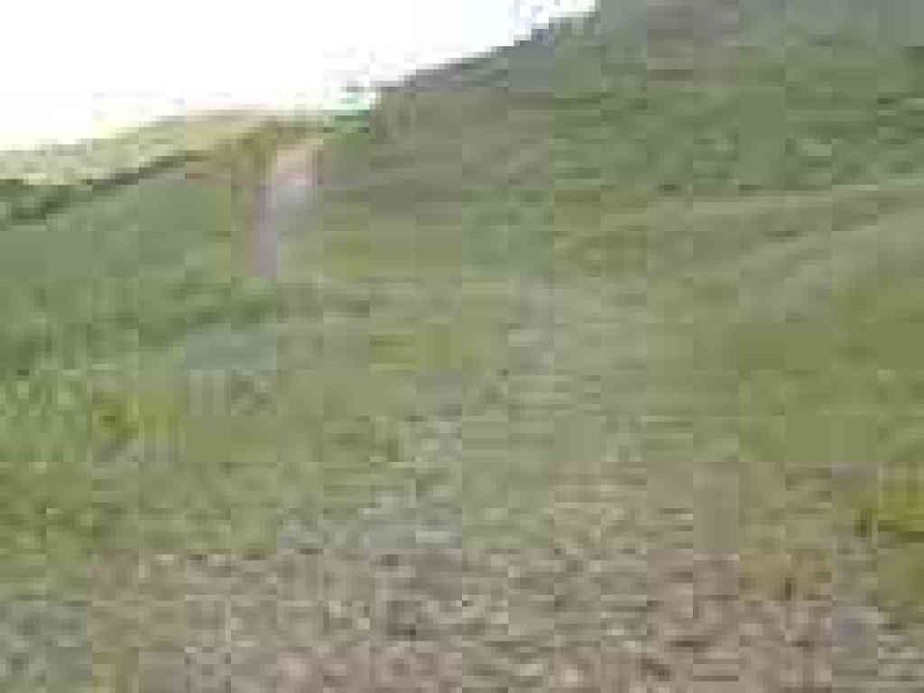 Steeper