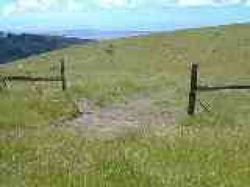 Gap in the fence