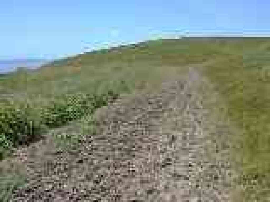 Trail splits