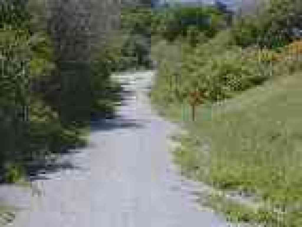 Descending to meet Wildcat Creek Trail