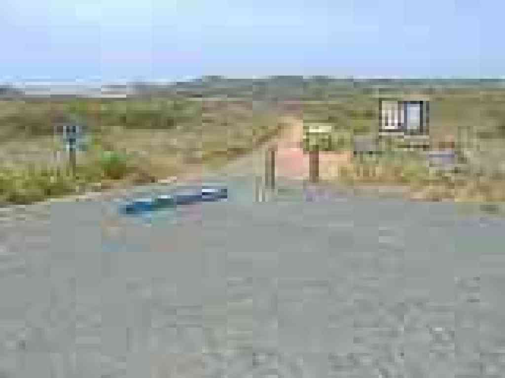 Traihead