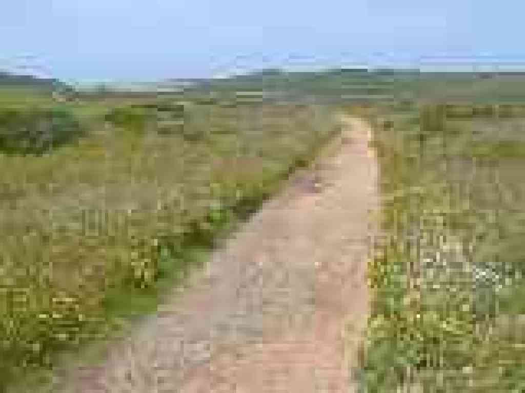 Trail