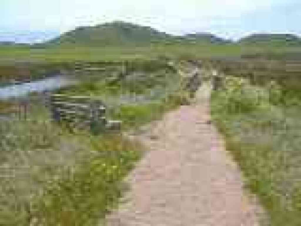 Abbotts Lagoon