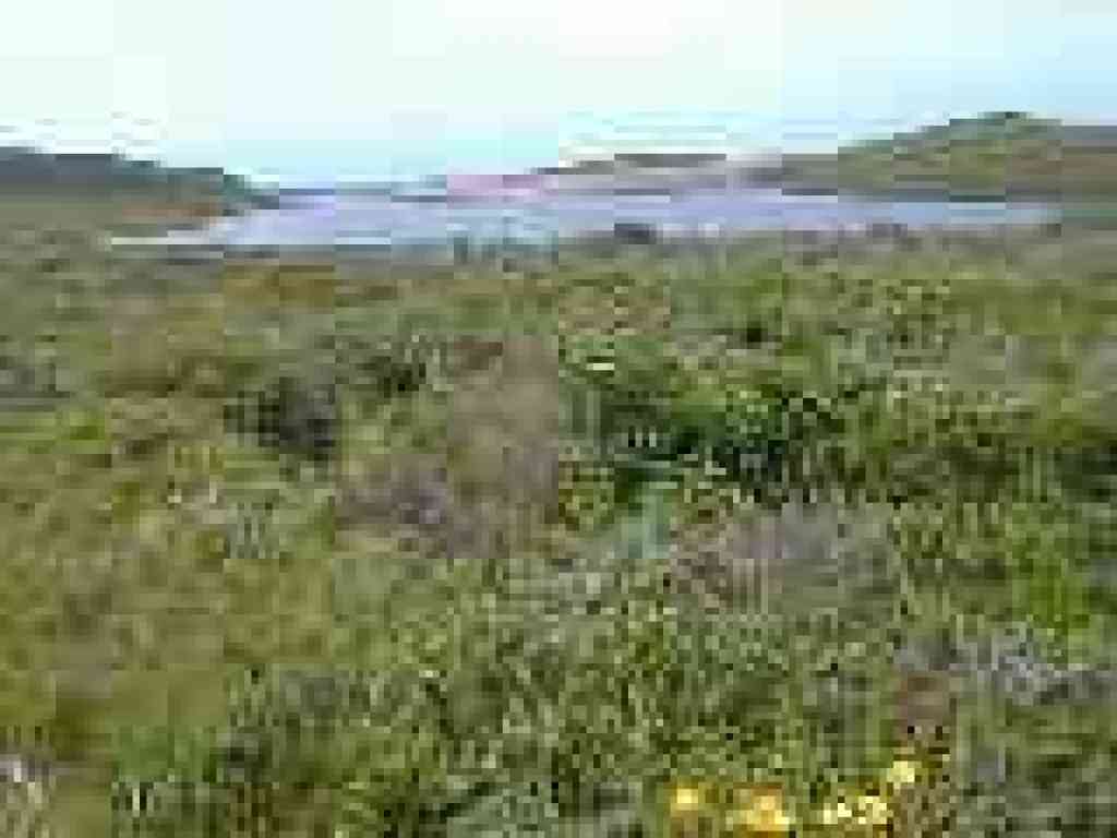 Lagoon