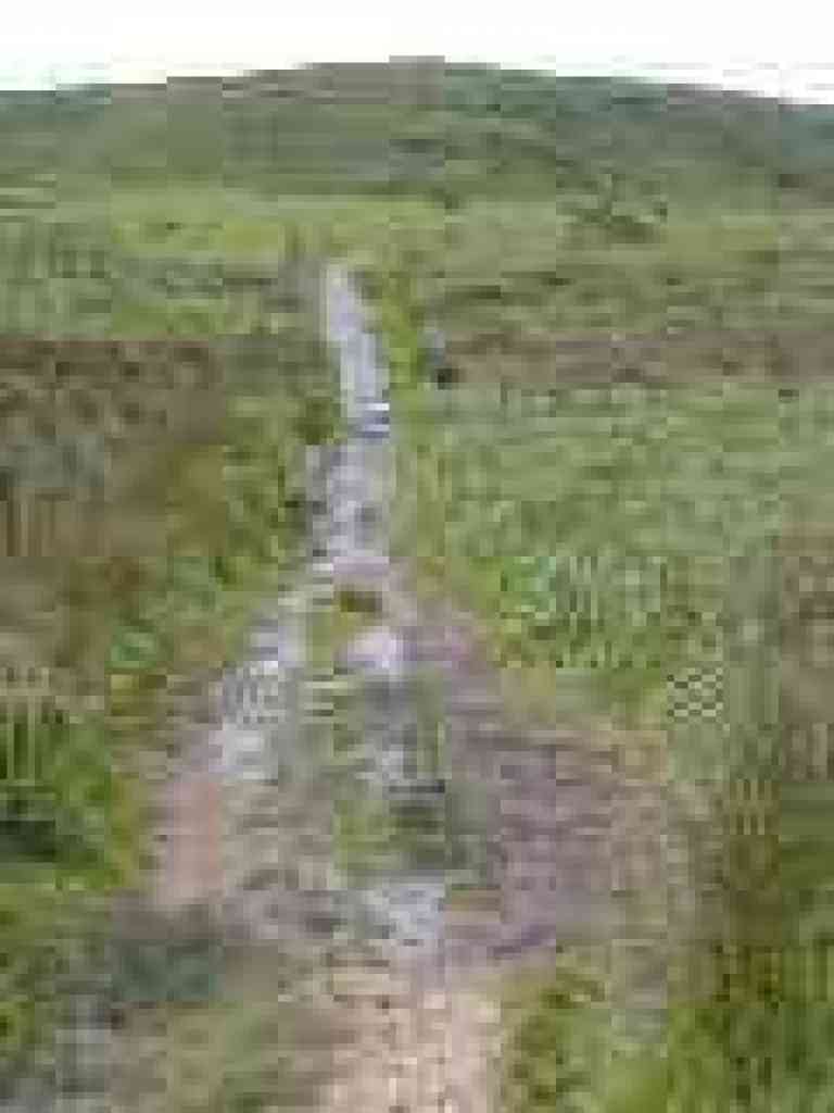 Damp spot