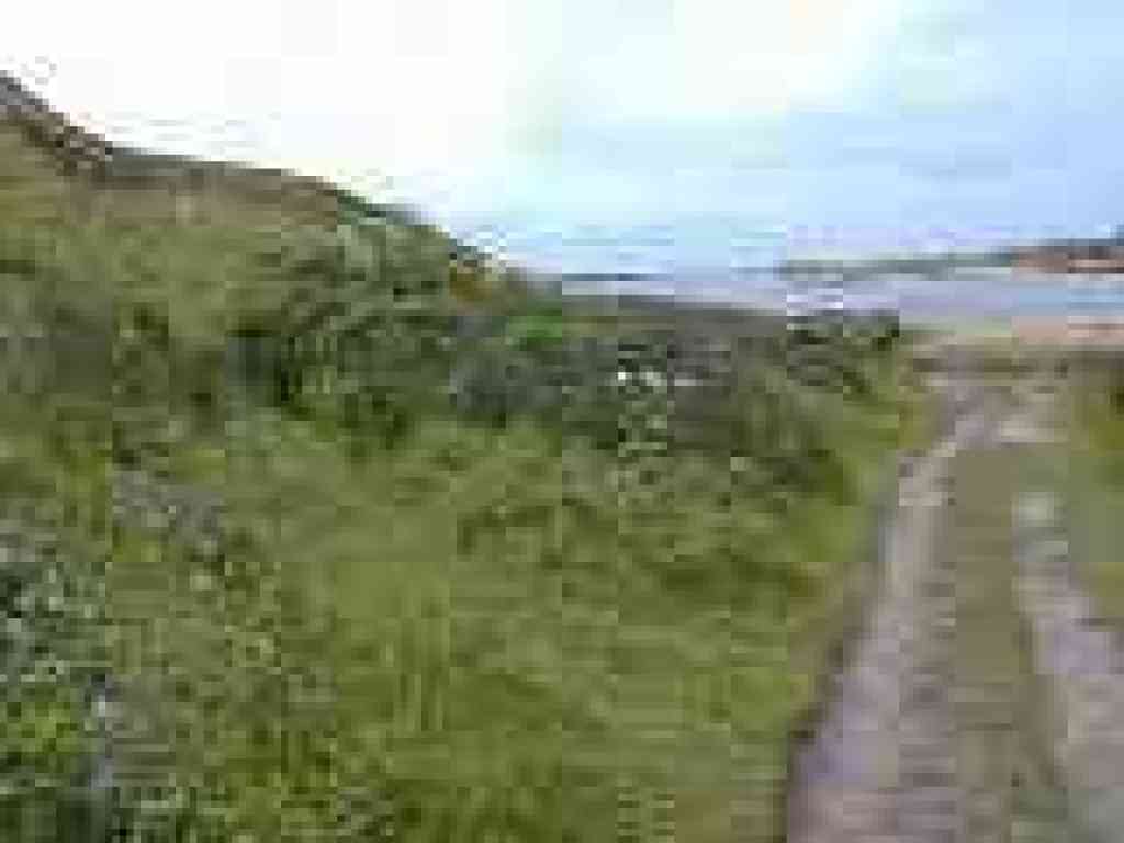 Faint path leads to overlook