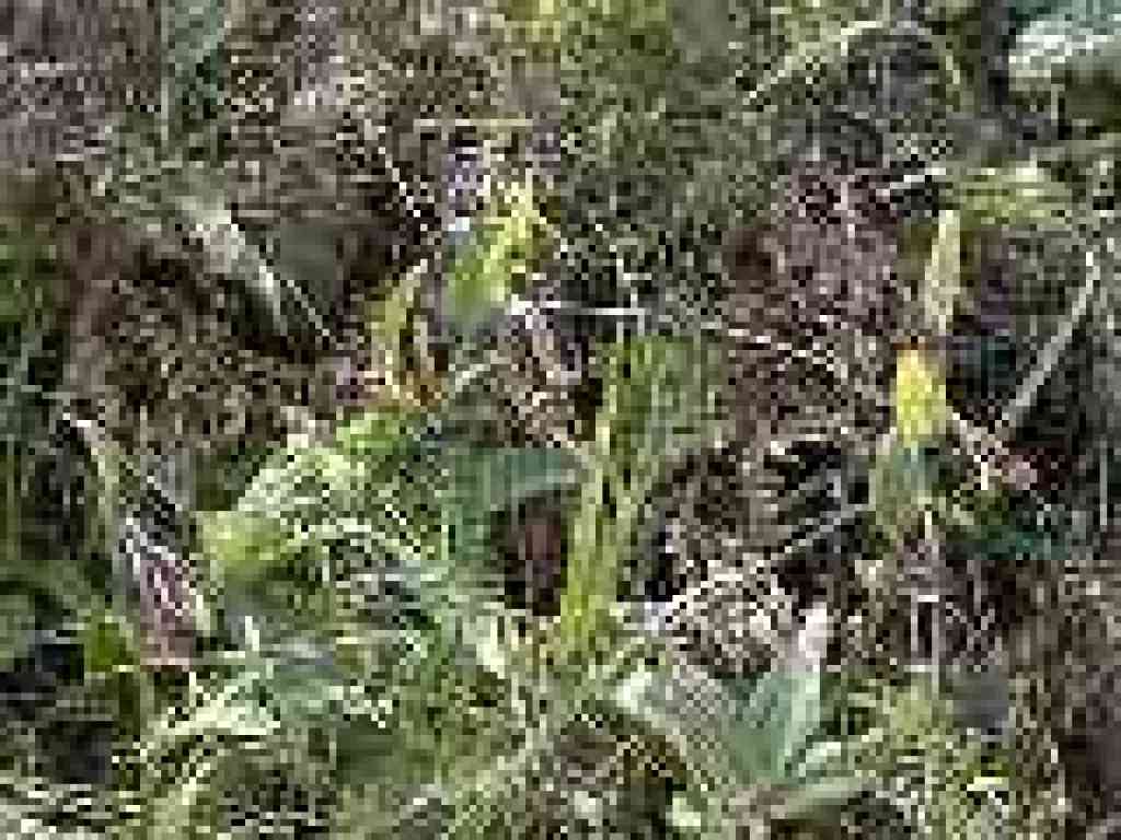 Mission bells