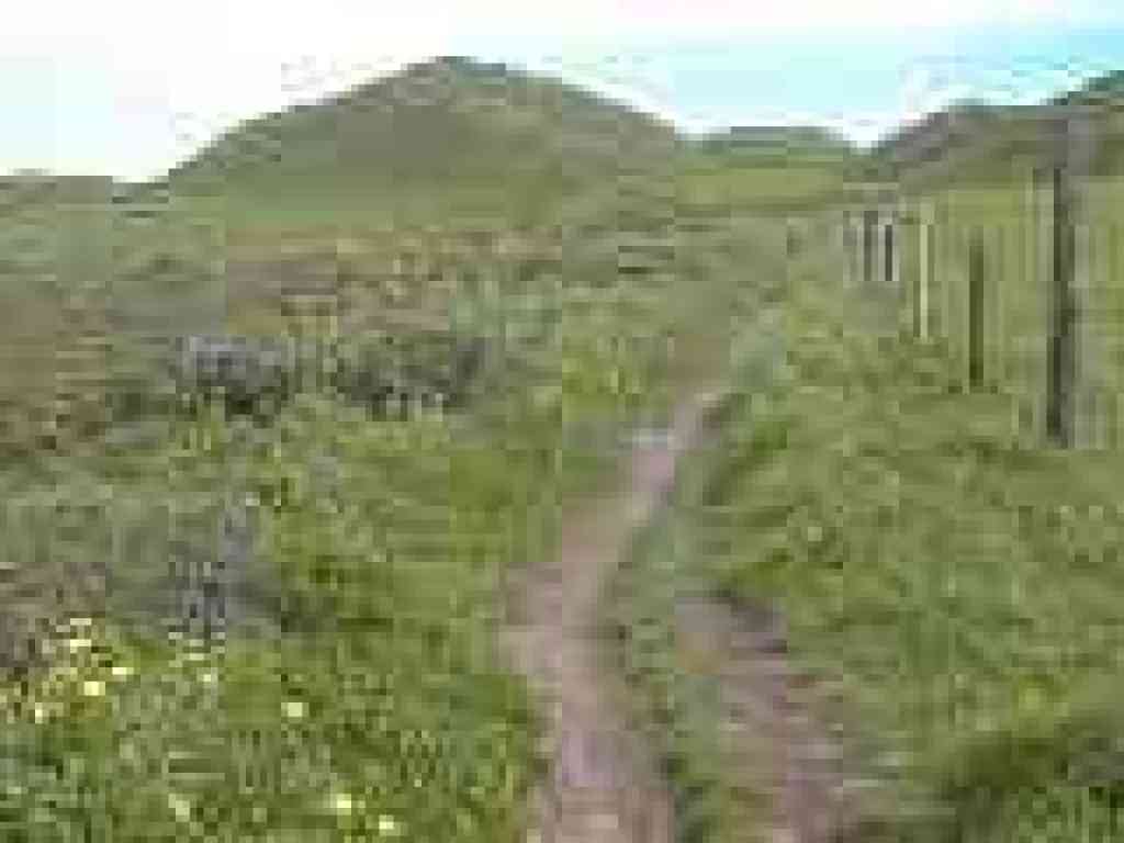 Back