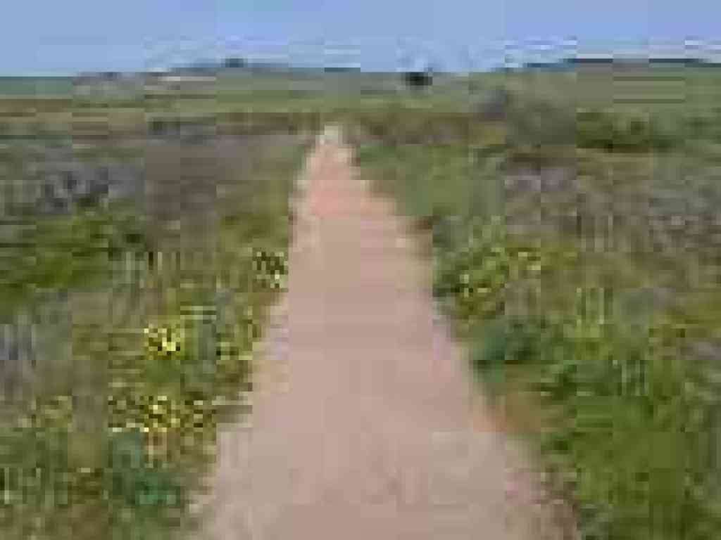 Returning to trailhead