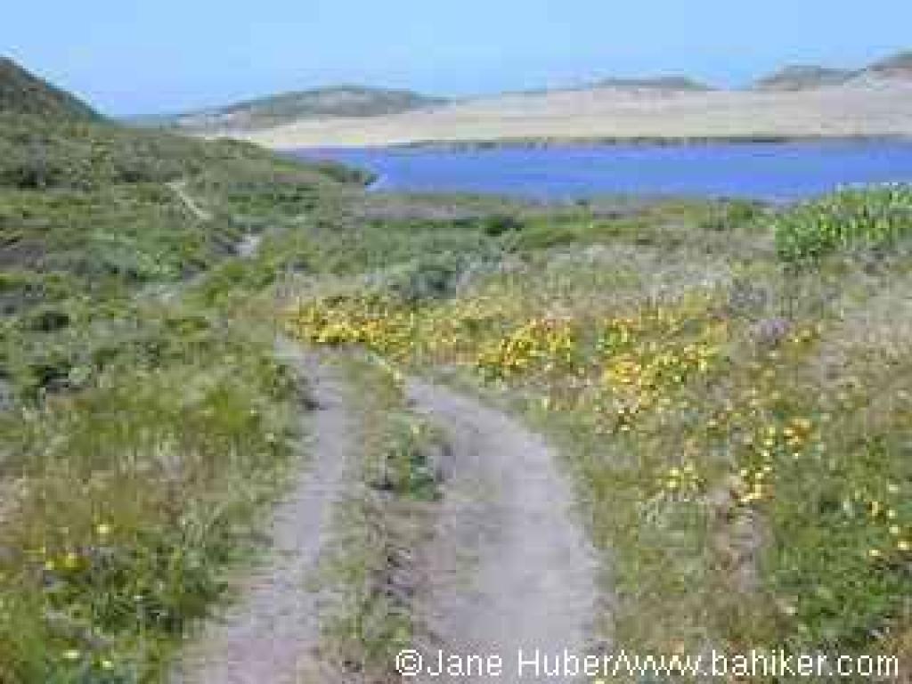 A view of the lagoon from the trail