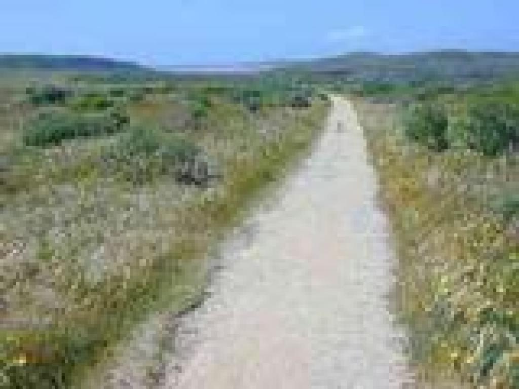 Trail to Abbotts Lagoon