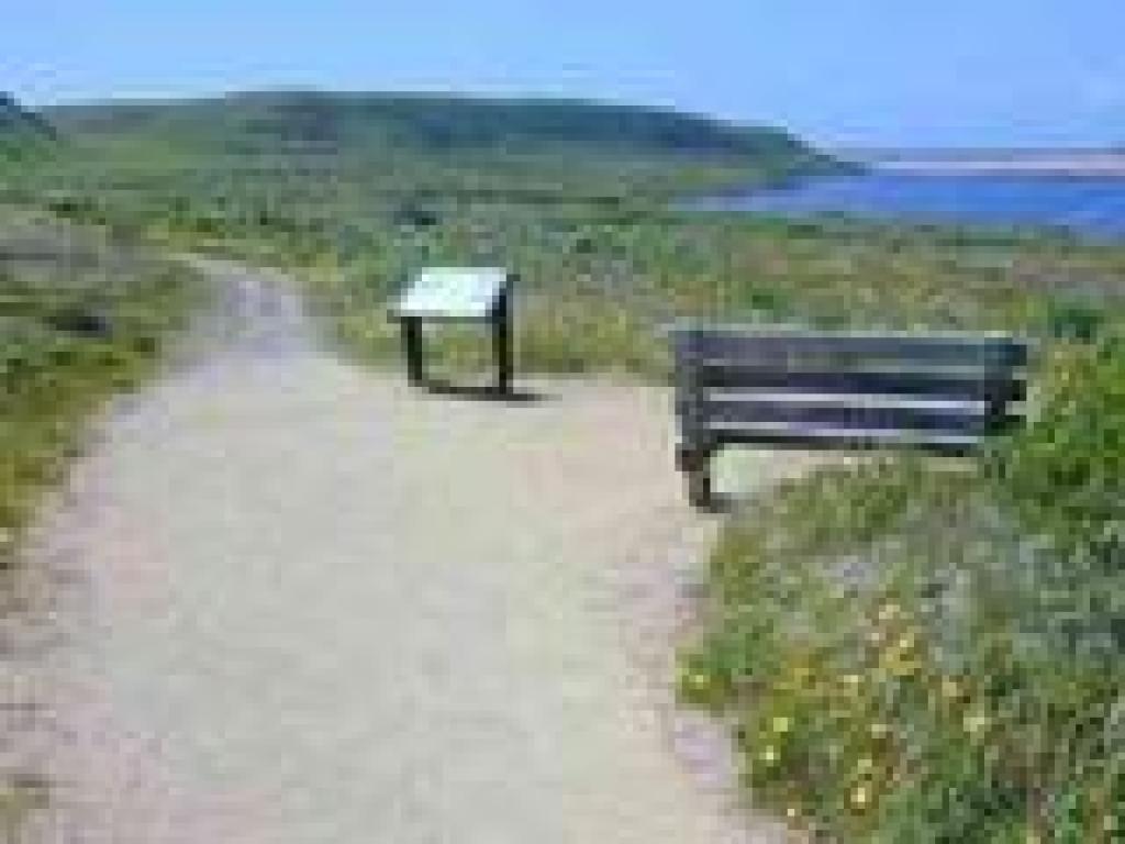 Bench #2