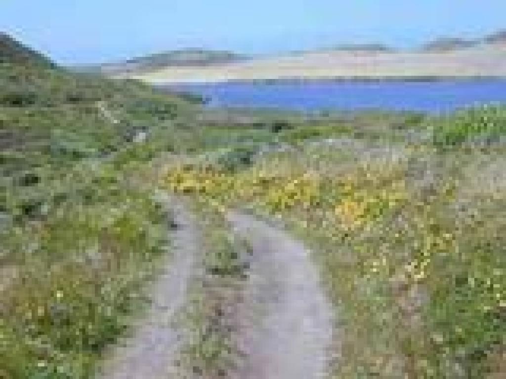 Heading toward the lagoon