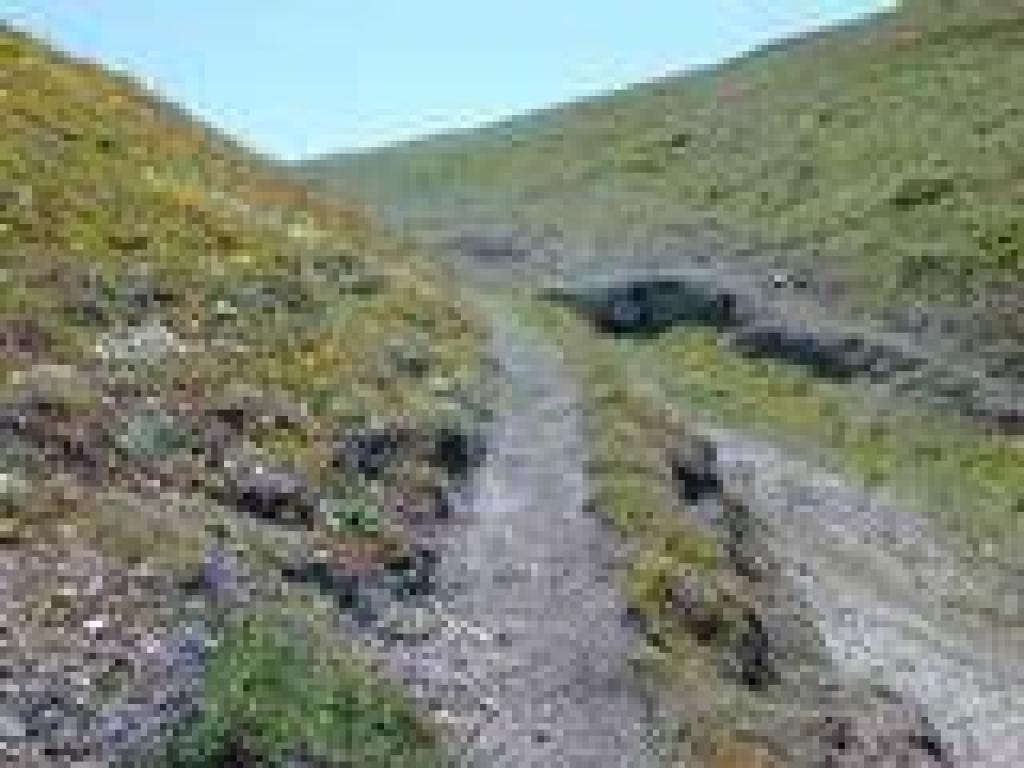 Side path