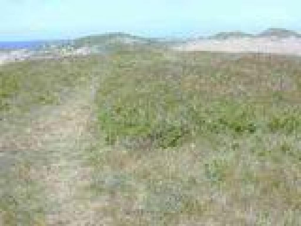 Hilltop