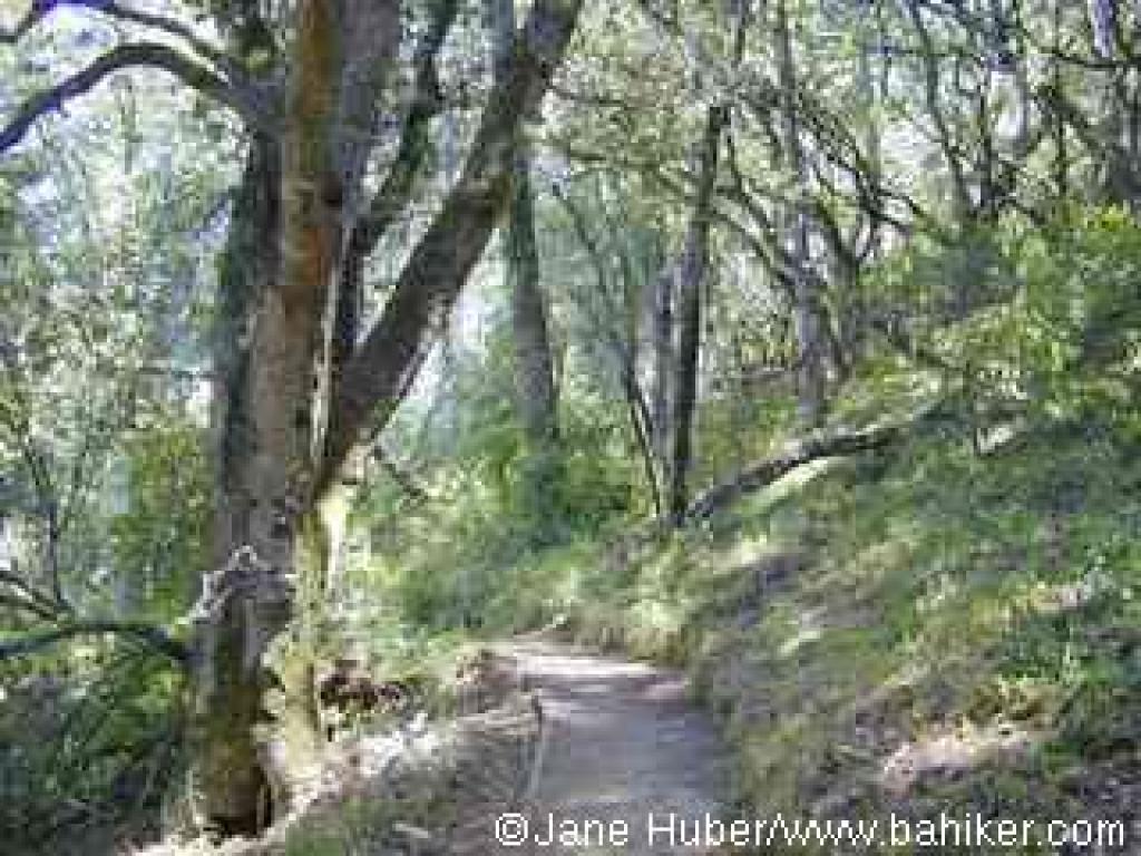 Lower section of Griffin Loop Trail