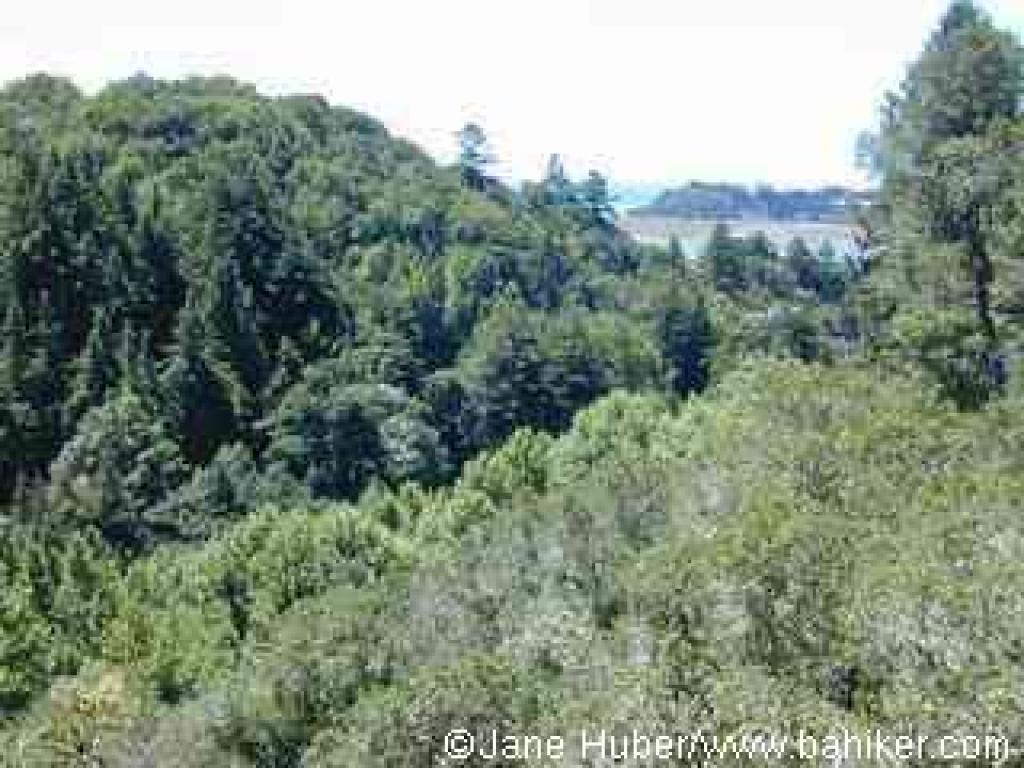 View from Henderson Outlook