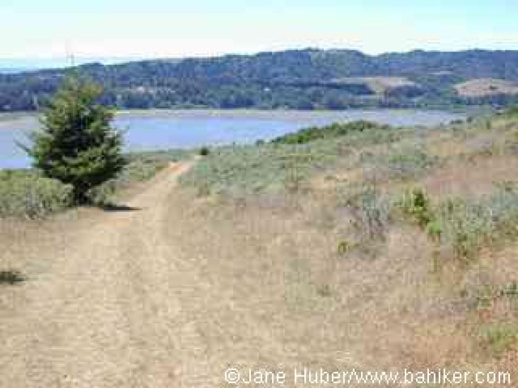 Descending on Griffin Loop Trail