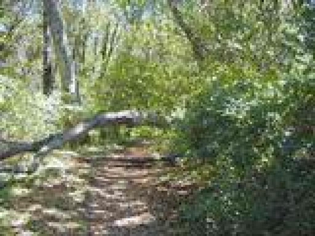 Obstacle