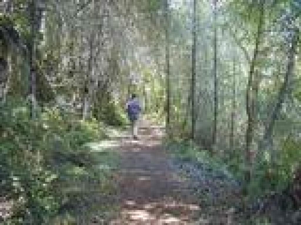 Griffin Loop Trail