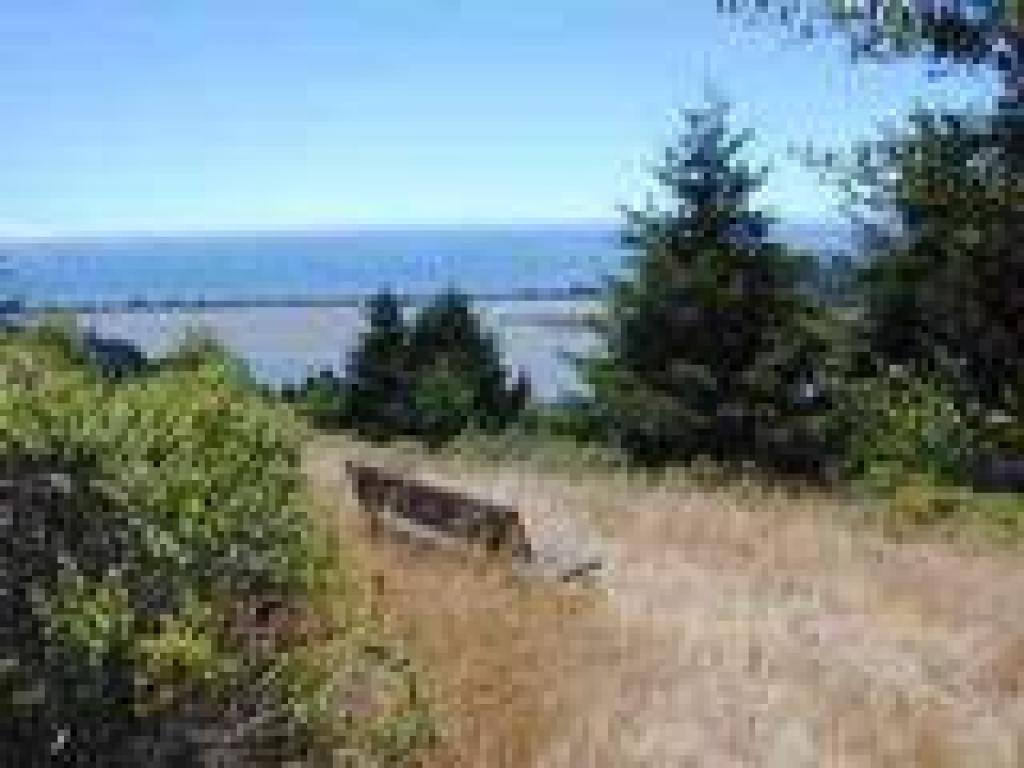 Devine Bench