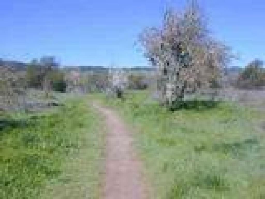 Orchard Trail
