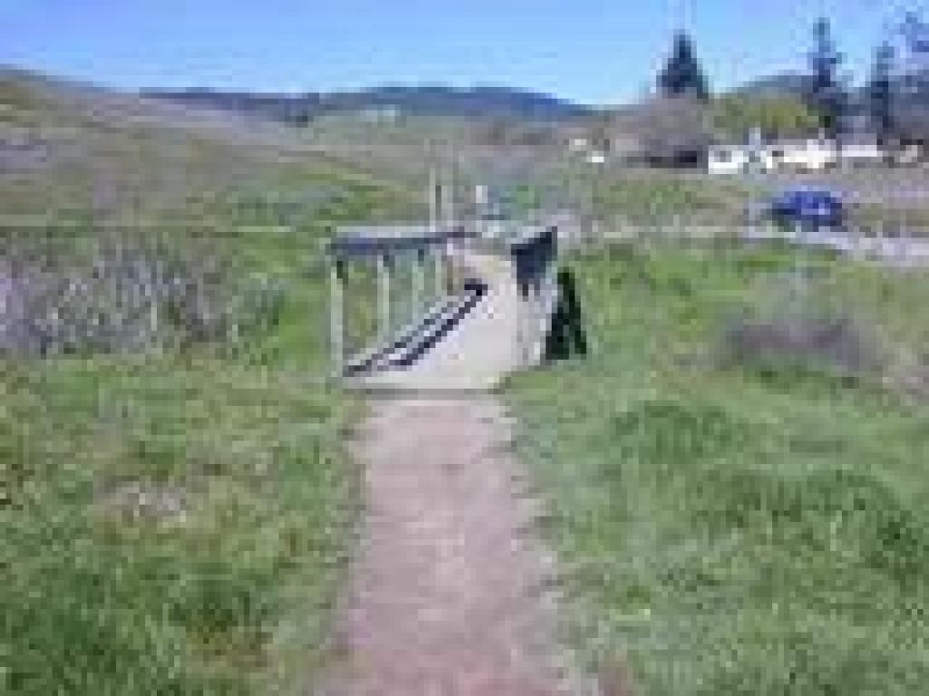 Bridge