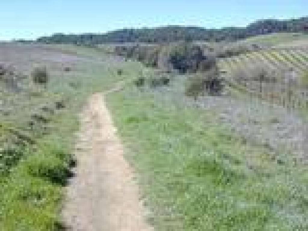 Dry Creek Trail