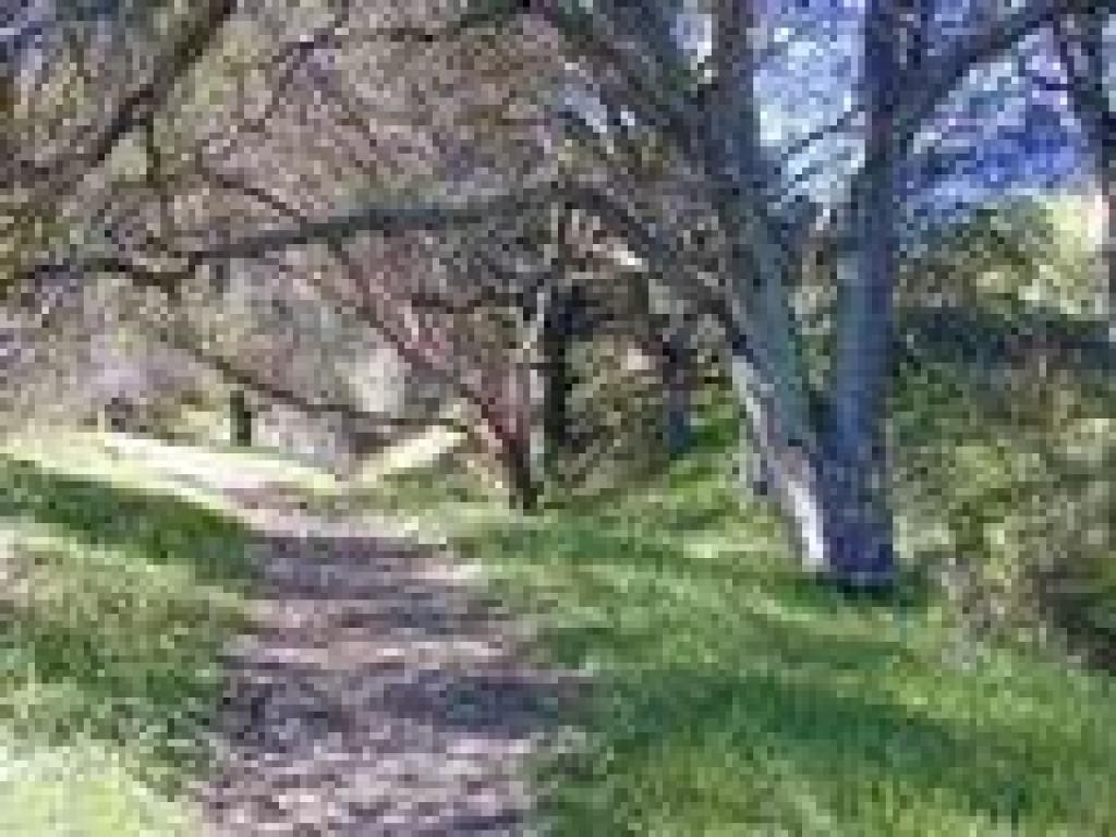 Near the creek