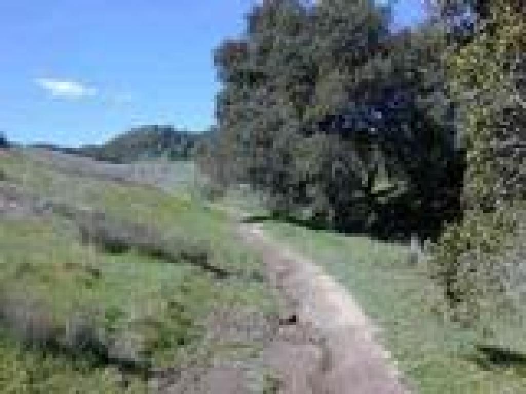 Climbing away from the creekbed