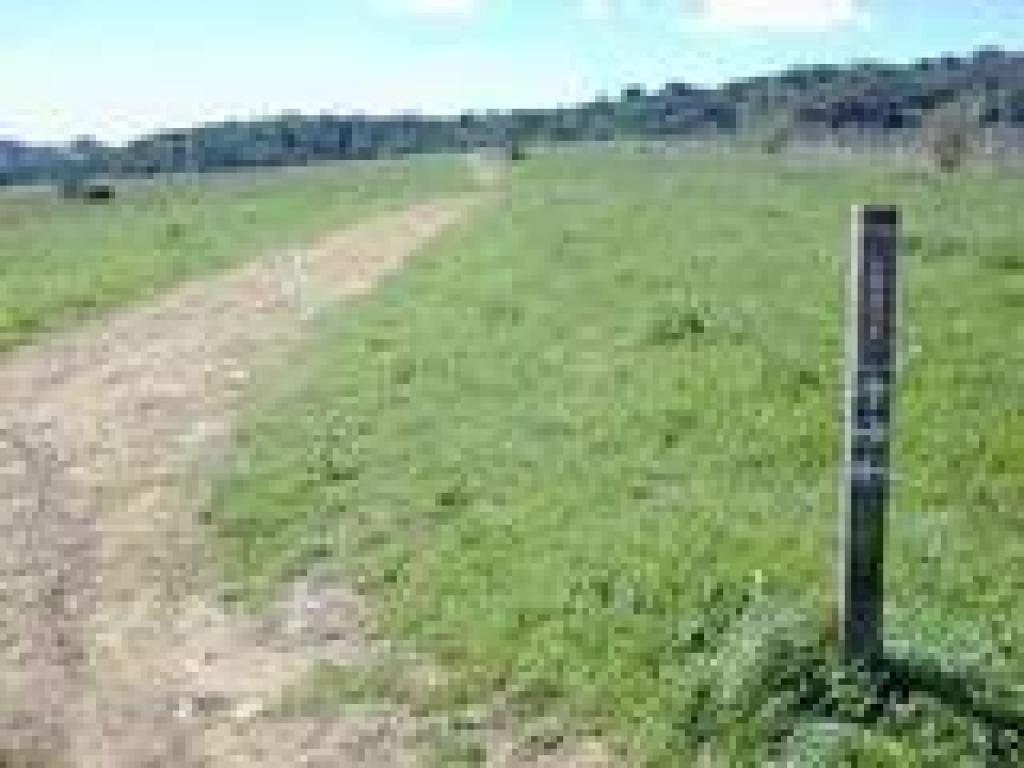 Prune Picker Trail