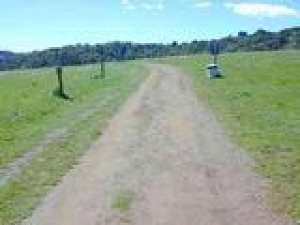 Entering off leash area
