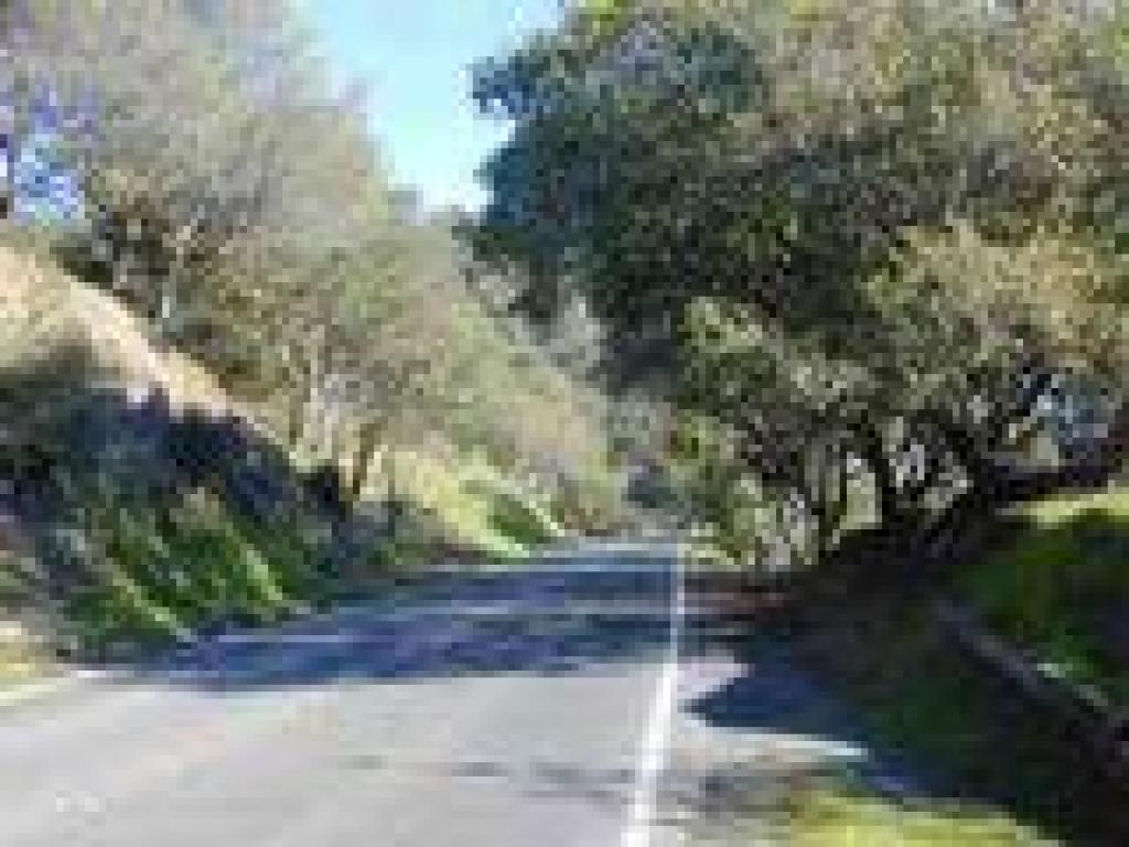 Camino Alto