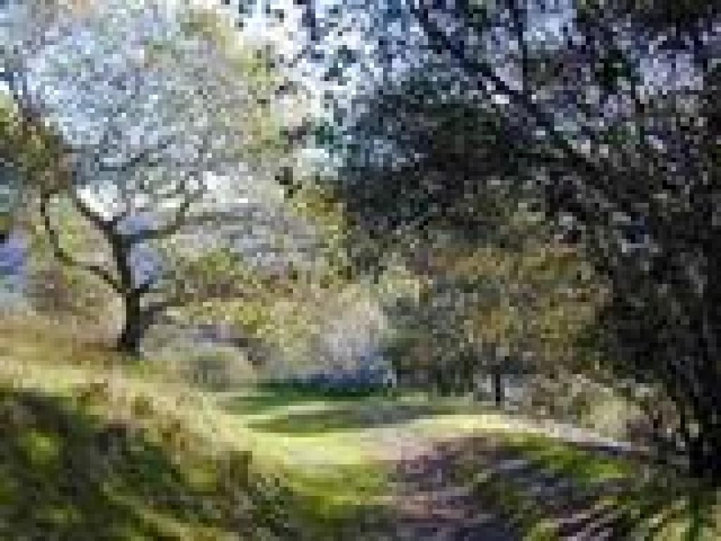 Bob Middagh Trail