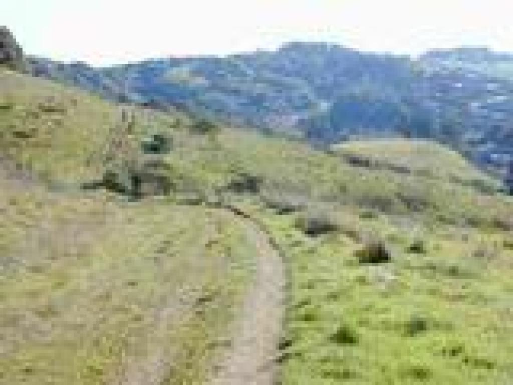 Bob Middagh Trail