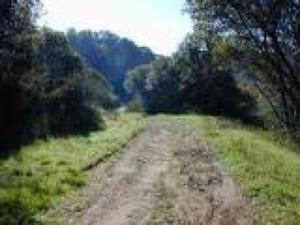 Alto Bowl Fire Road