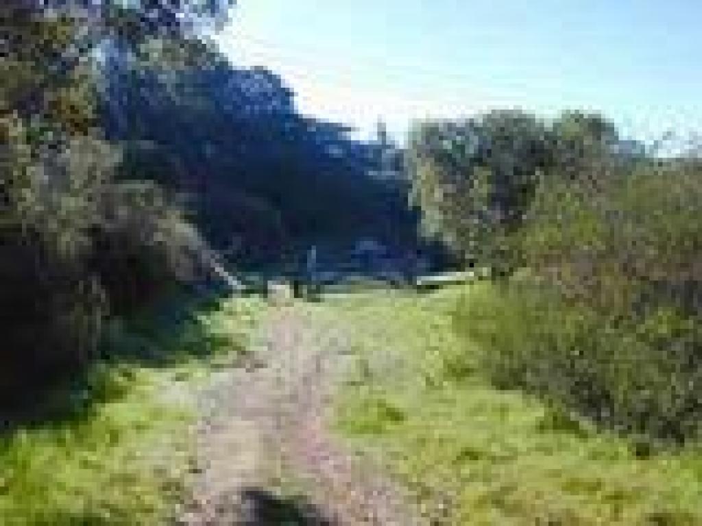 Gate at the end of the trail