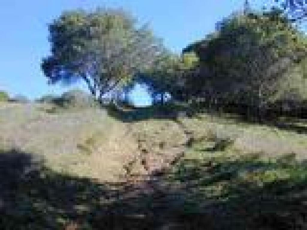 Steep