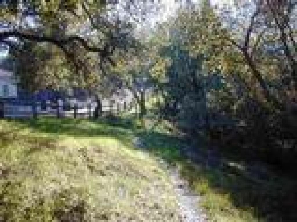 Near a street