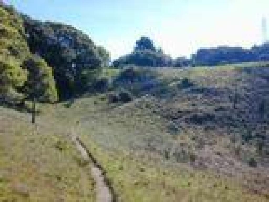 Horse Hill Trail