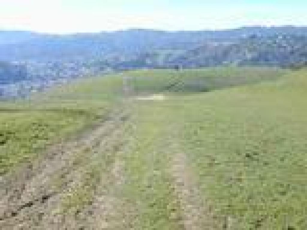 At the hilltop
