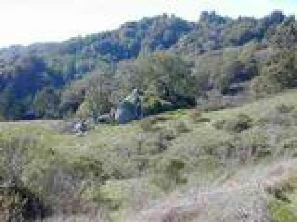 Outcrop