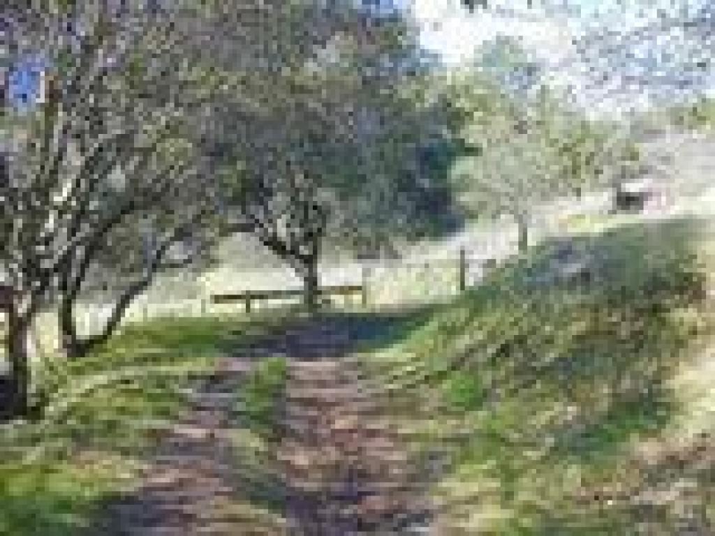 At the gate and Camino Alto