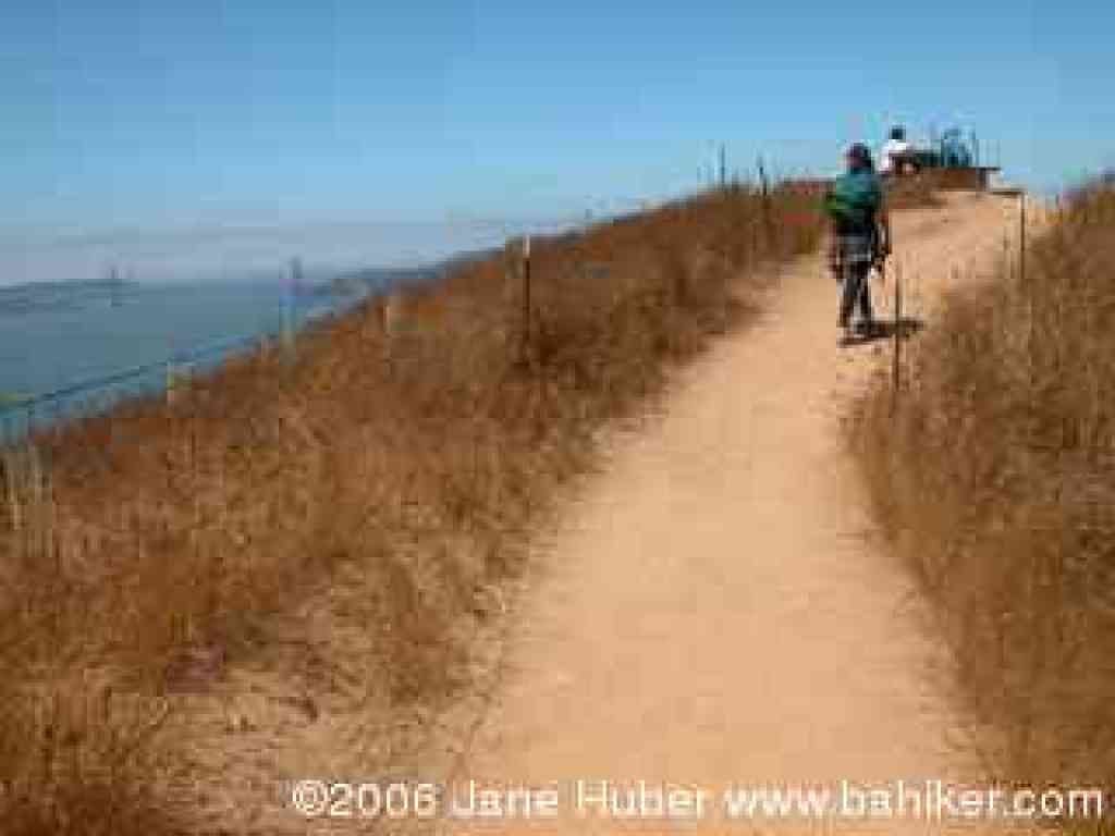 Near the top of Mount Livermore
