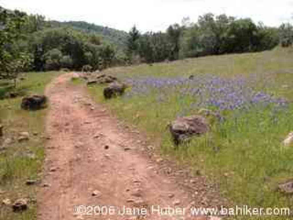 Rough Go Trail