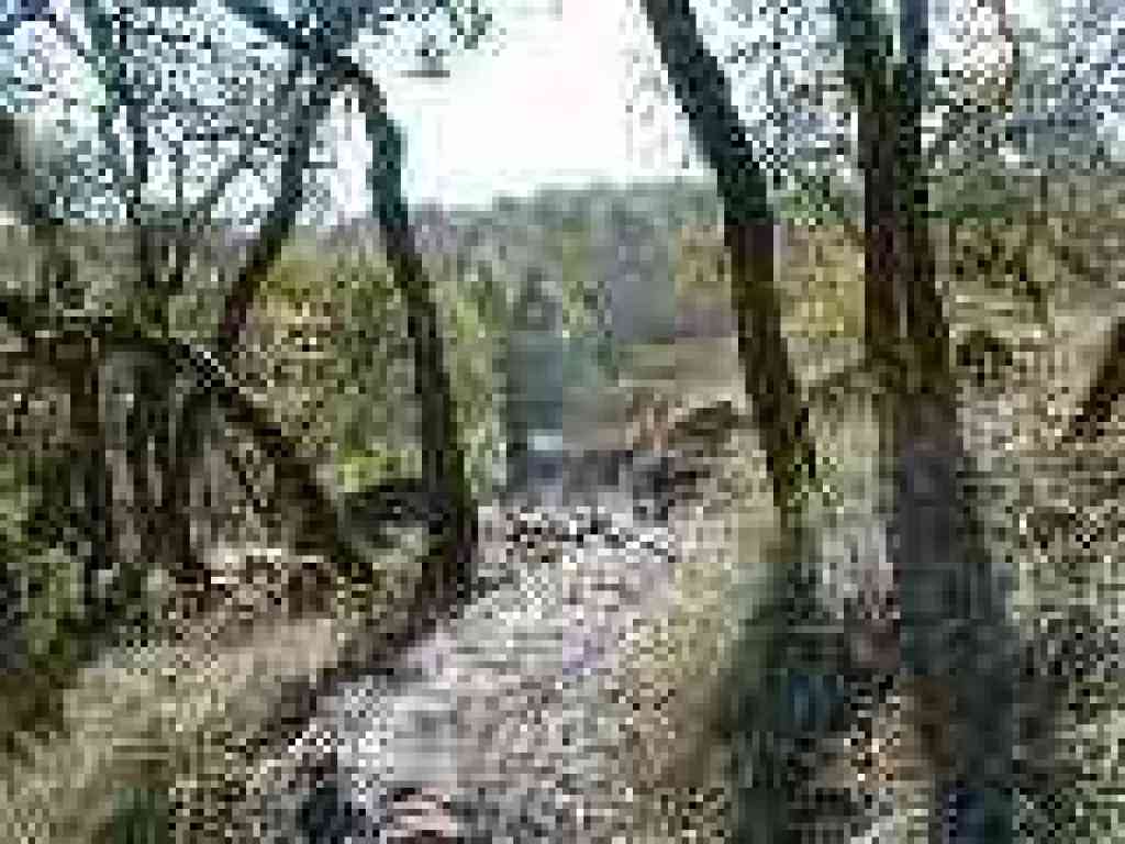 Cobblestone Trail